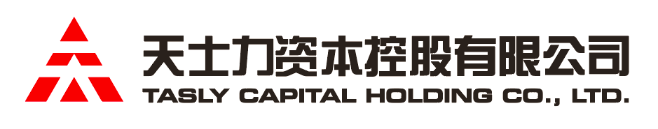 国际人资本控股有限公司